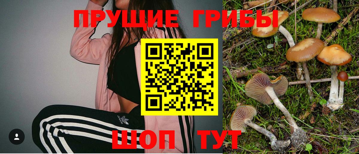 Галлюциногенные грибы Psilocybe Соль-Илецк
