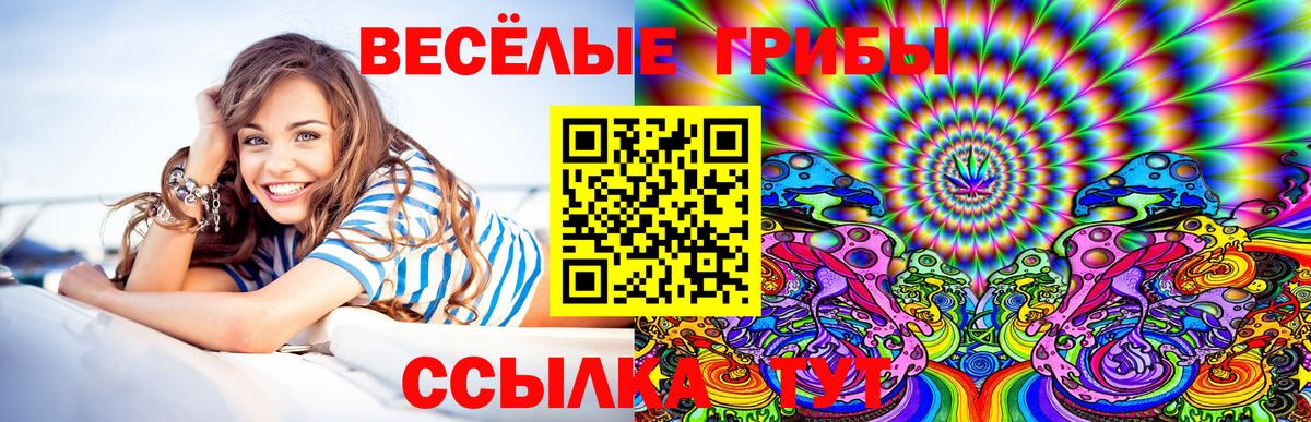 Соль-Илецк  Галлюциногенные грибы MAGIC MUSHROOMS  Псилоцибиновые грибы прущие грибы  Вход с VPN 